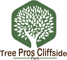 Tree-pros-cliffside-logo