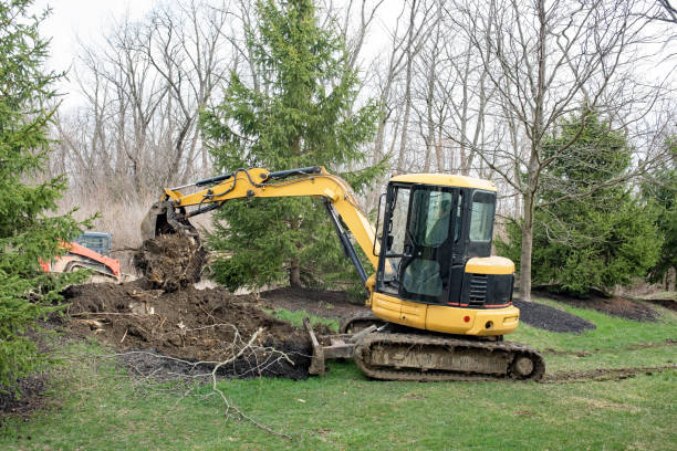 stump grinding cliffside park