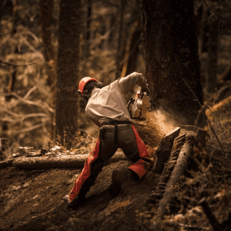 Tree cutting tree pros cliffside park