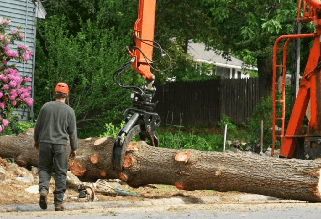 Commercial Tree Service Cliffside Park