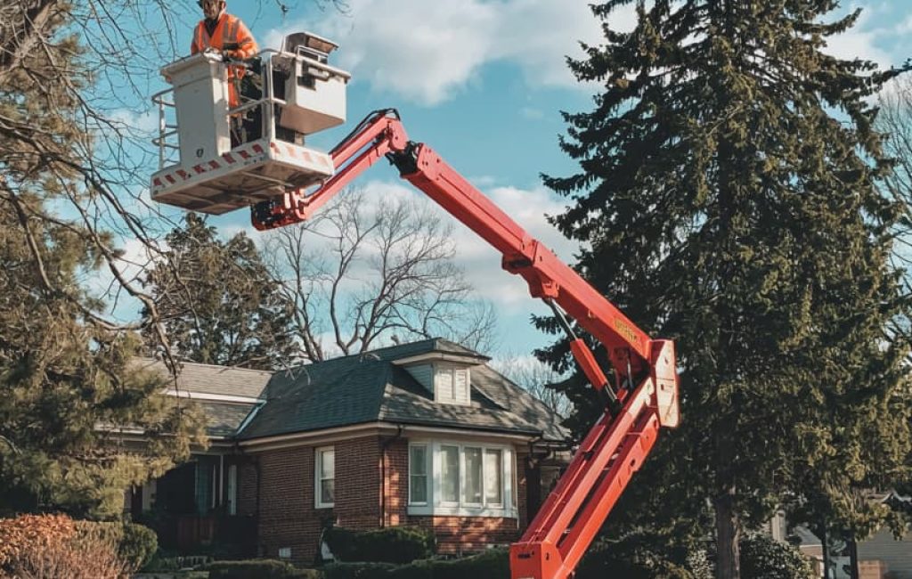 tree pros cliffside park